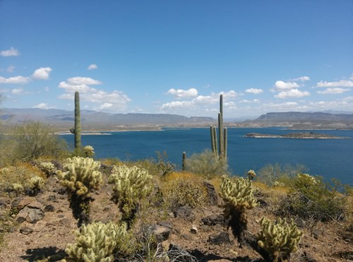 Lake Pleasant