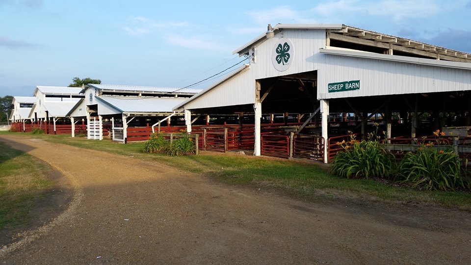Lee County 4H