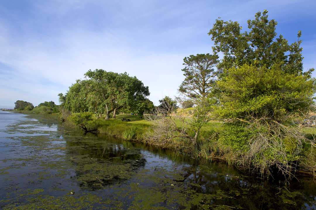 Brannan Island SRA