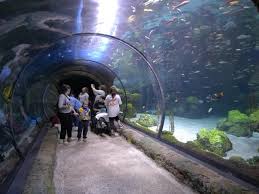Denver Aquarium Tunnel