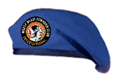 blueBeret