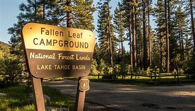 Fallen Leaf Campground