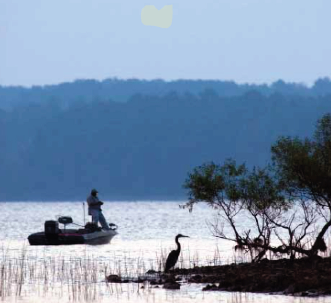 Dreher Island State Park