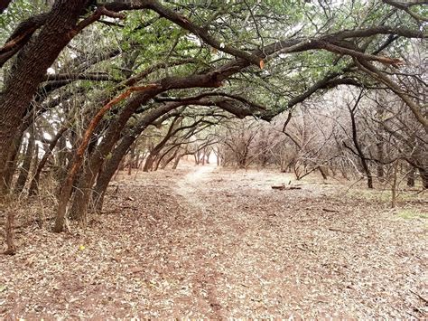 Abilene State Park