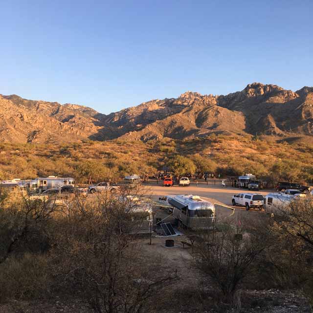 Catalina State Park, AZ