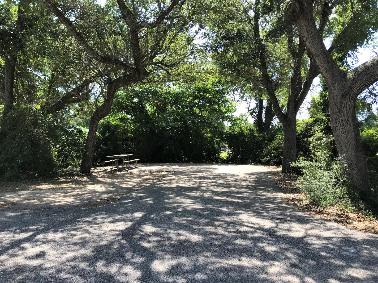 Gulf State Park Site