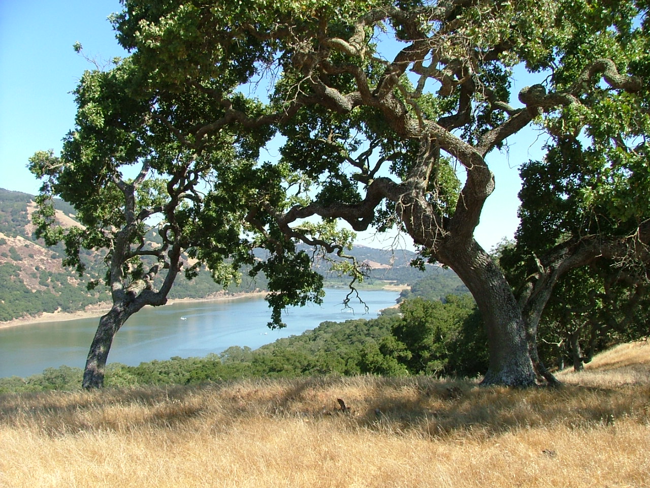 Coyote Lake County Park