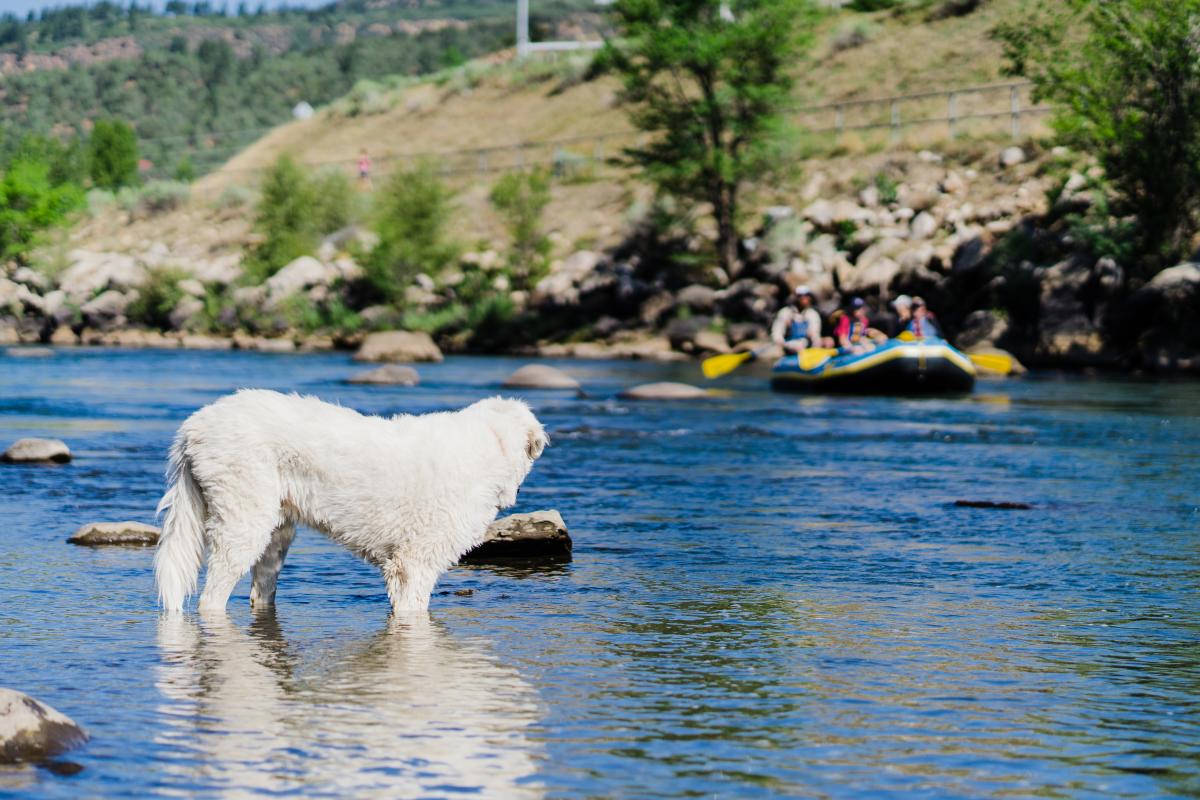 4CU in Durango