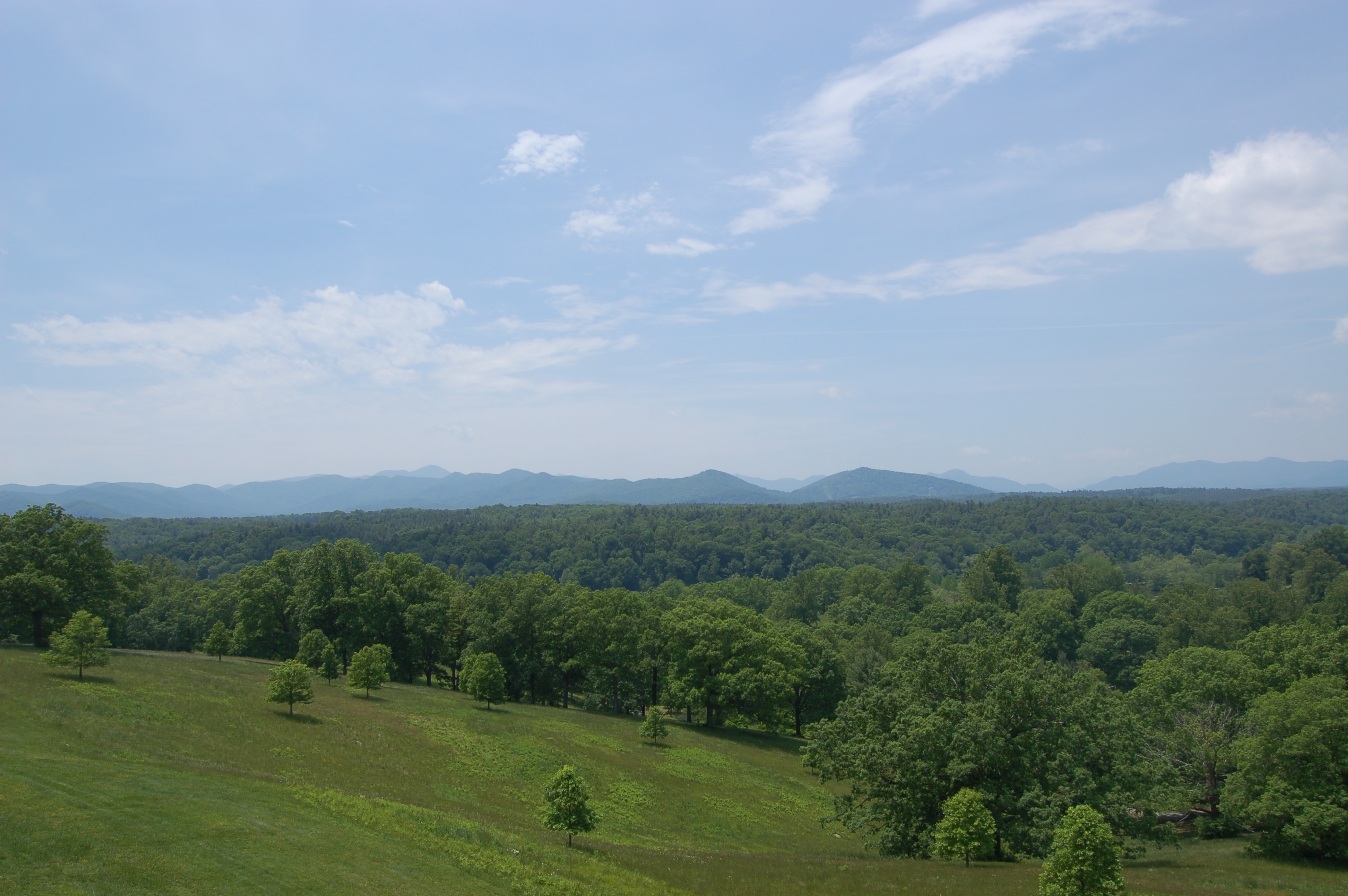 View from Biltmore Estate