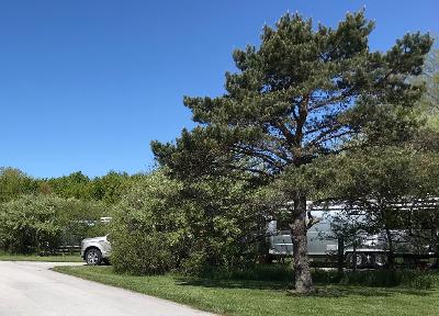 Lovely campsites at Maumee Bay State Park
