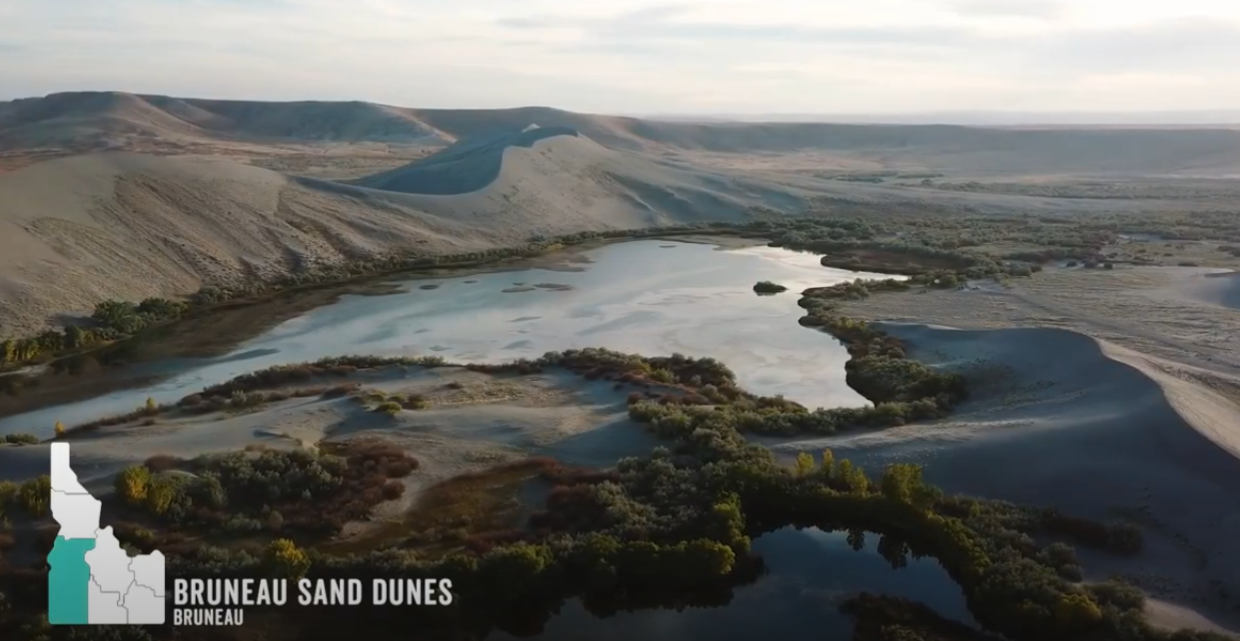 Bruneau Sand Dunes