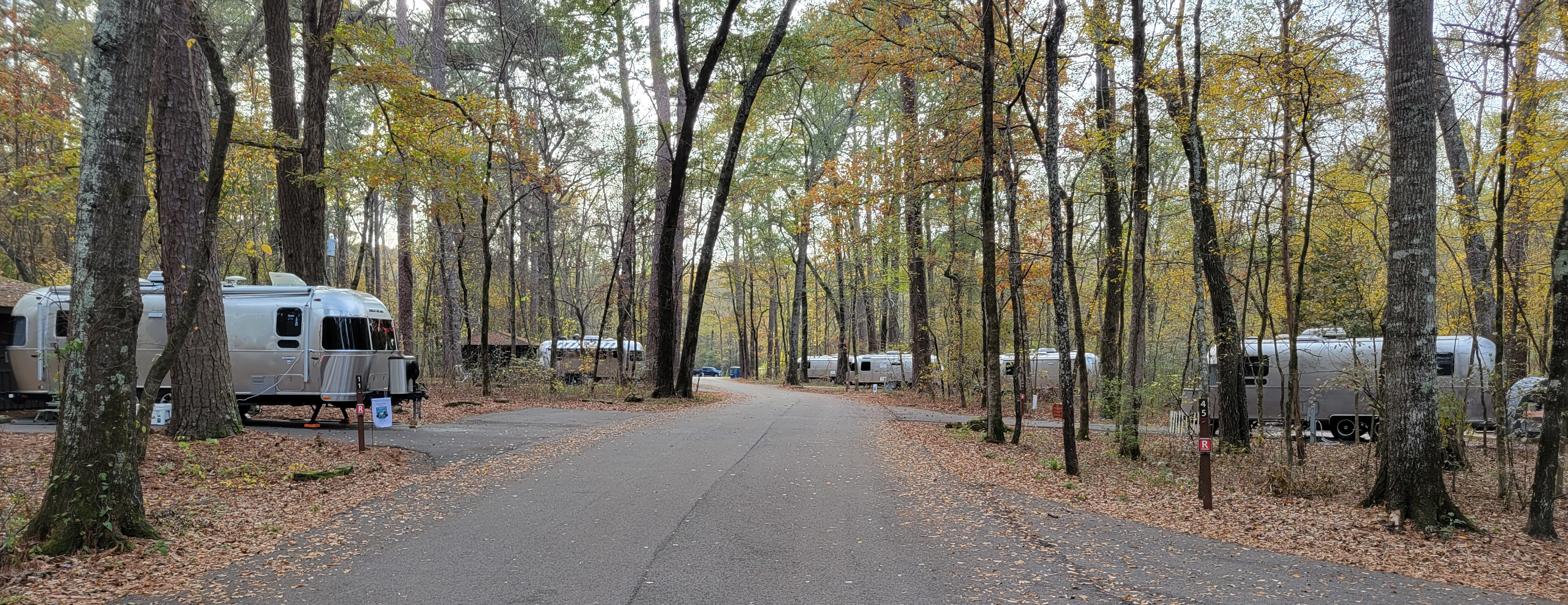 ETLU at Caddo Lake State Park