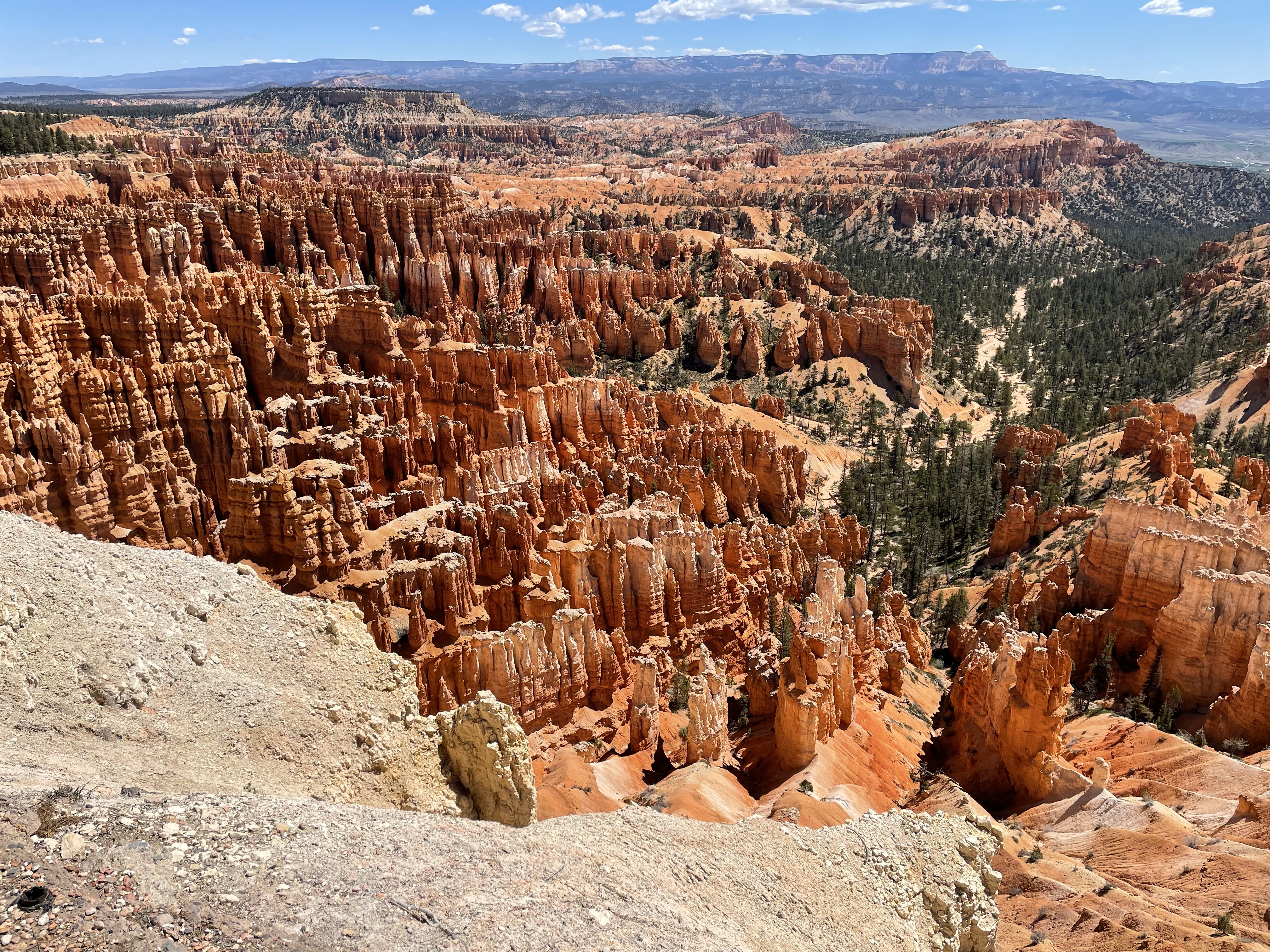 Utah Loop Feature