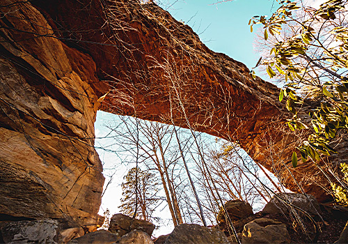 Natural Bridge in Red River Gorge