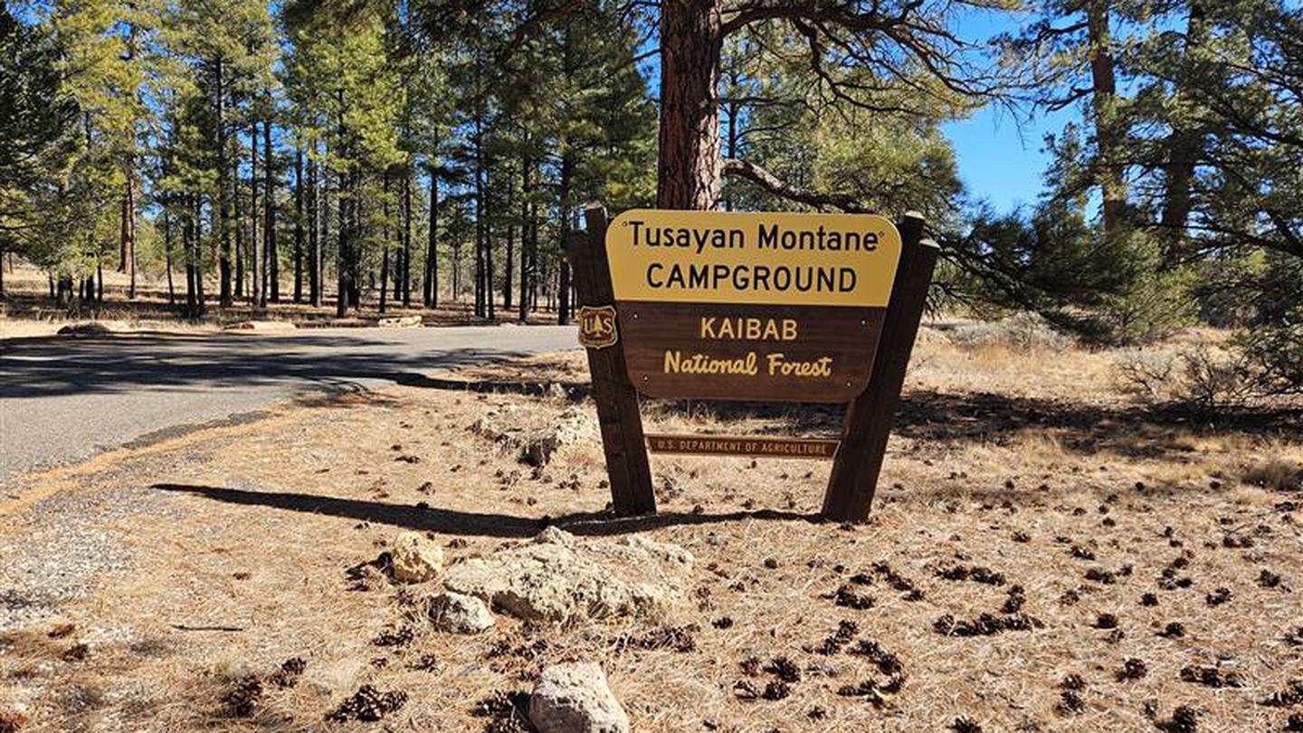 Tusayan-Montane Campground