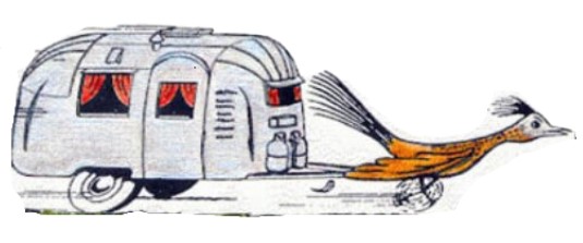 Airstream & Roadrunner