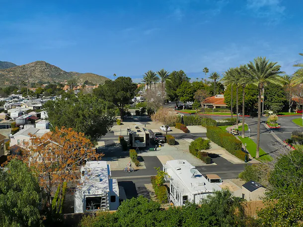 Golden Village Palms