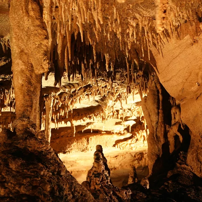 Mammoth Cave