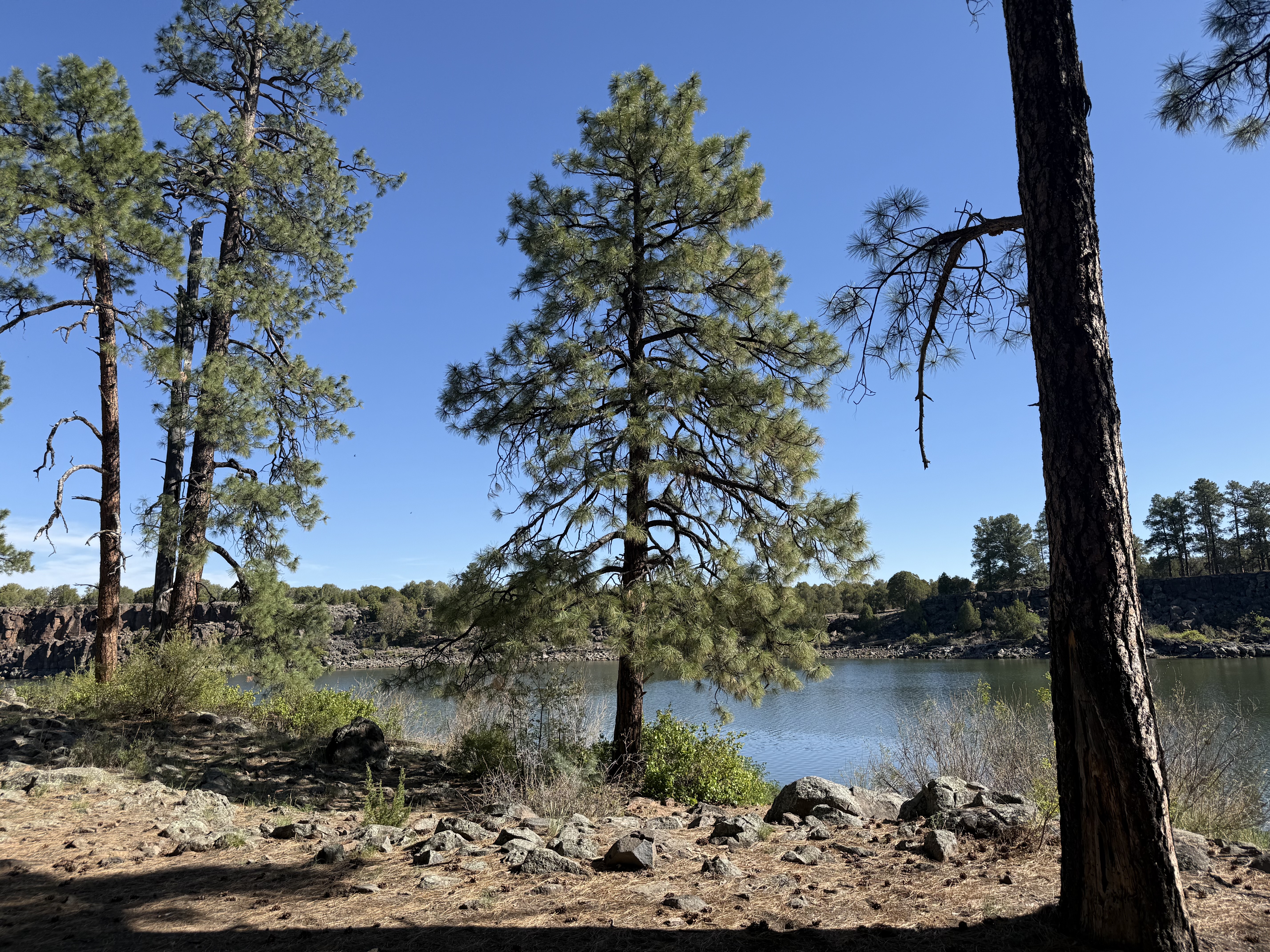 Fool Hollow Lake
