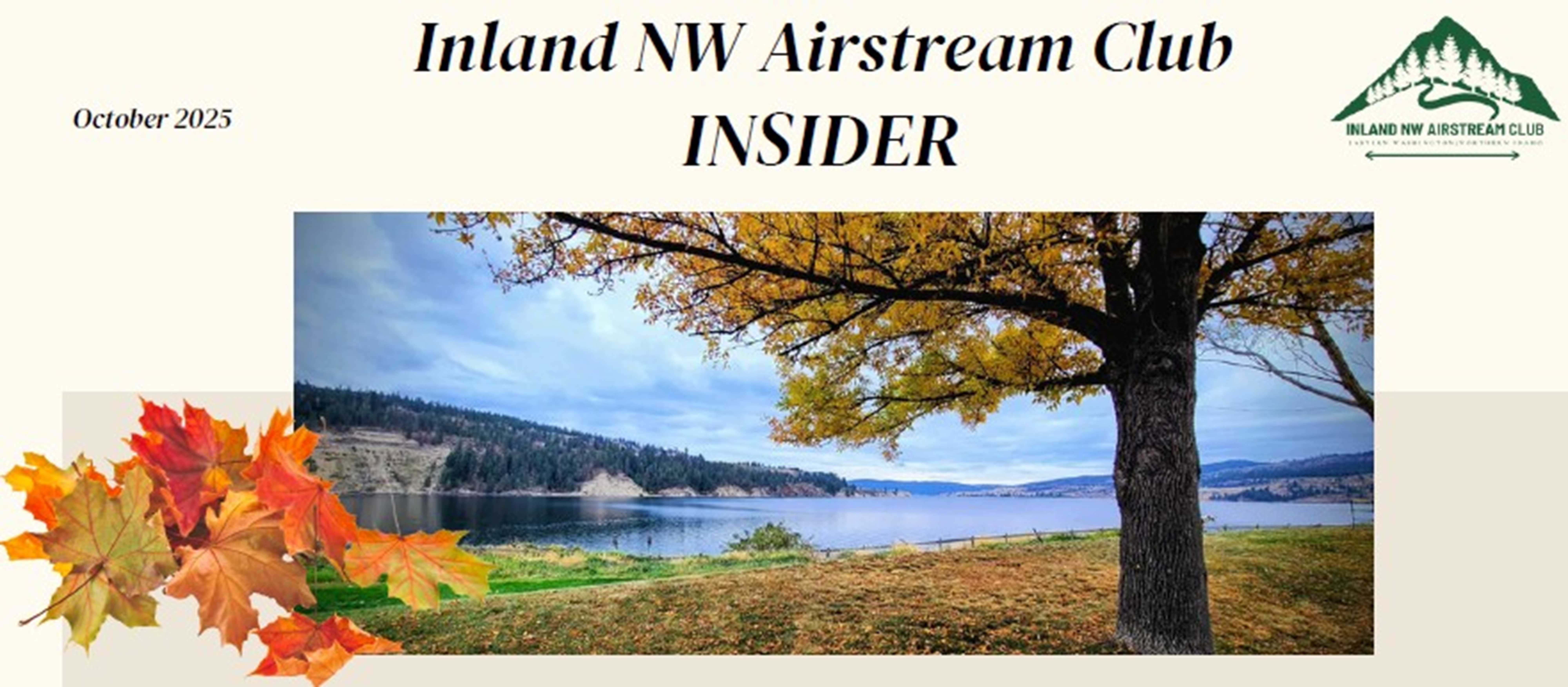 INWAC Newsletter Header Nov 2025