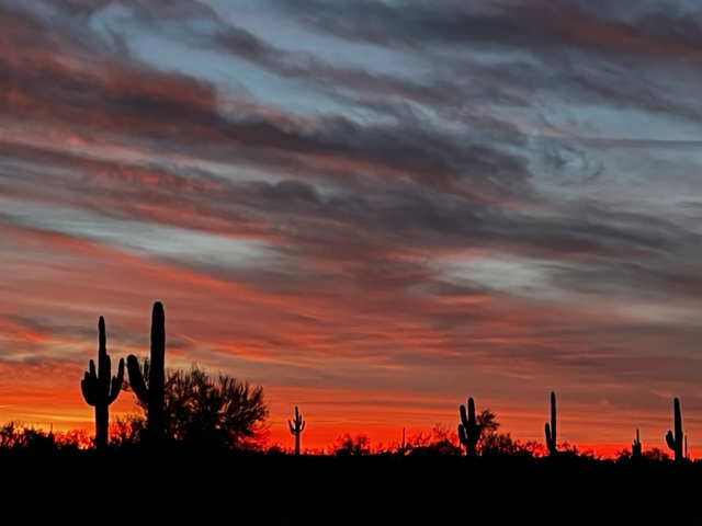 New Years At Picacho