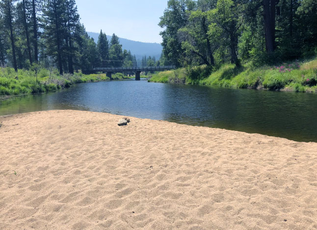 Photo of river and beach