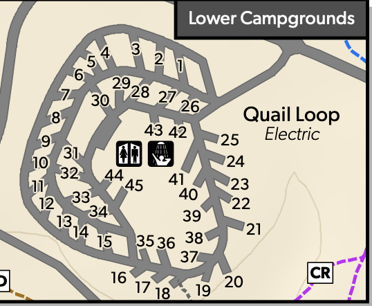 DHRSP Quail Loop_003