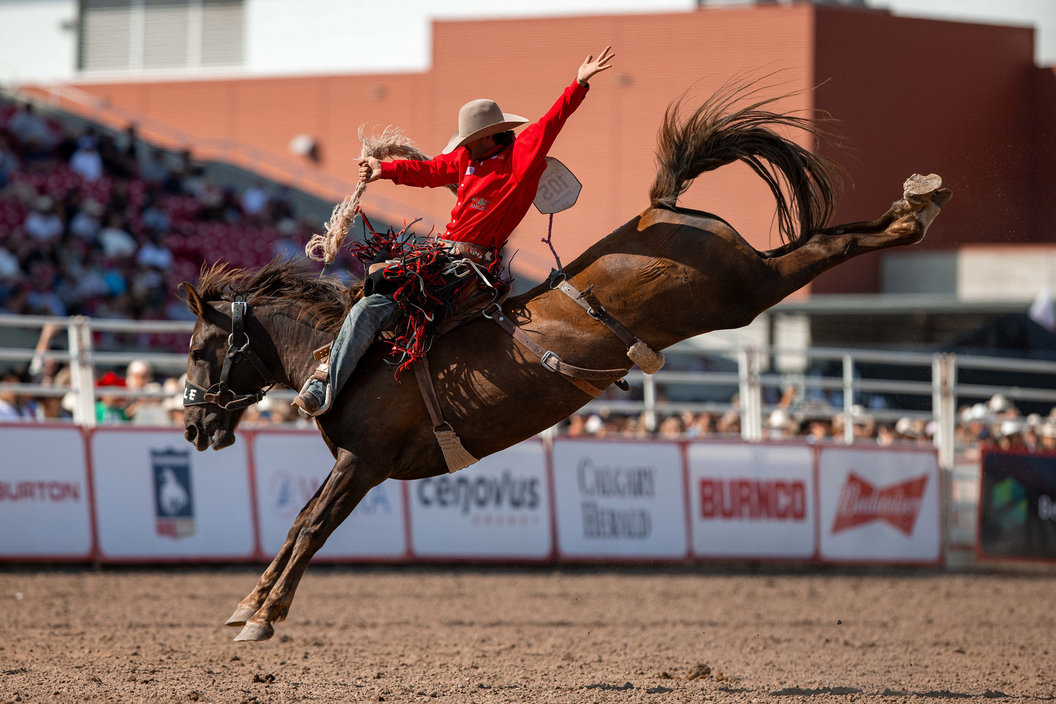 Cowboy on Horse