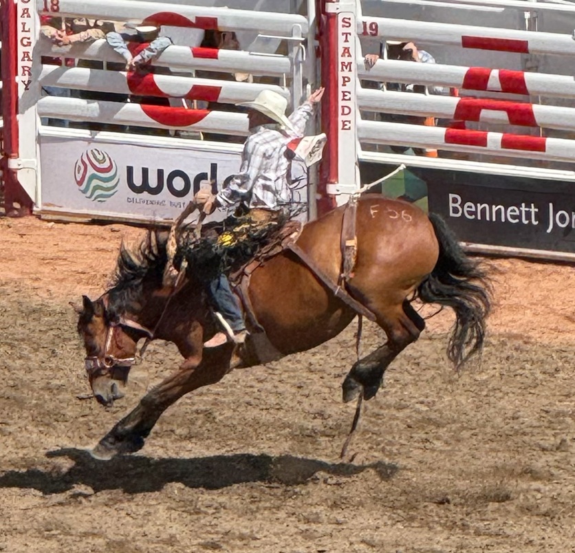 Rodeo Day 1