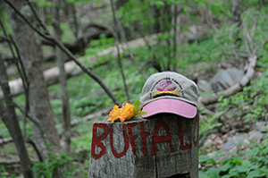 Hat at Buffalo Mt.