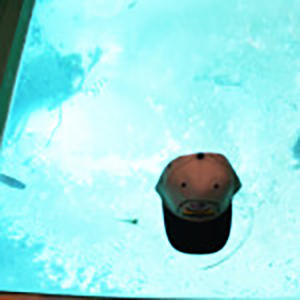 HAt in Glass Bottom Bpat Well