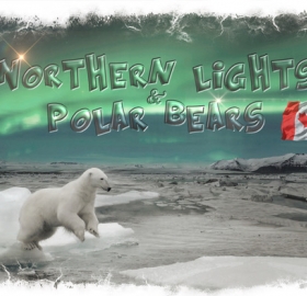 Northern Lights & Polar Bears