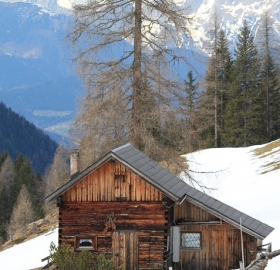0165 Cabin Fever