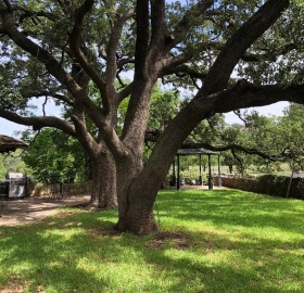 Johnson Creek Campground