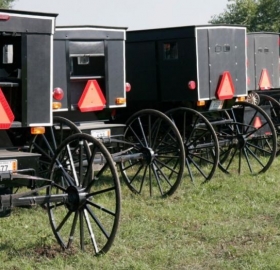 SFAC Amish buggies