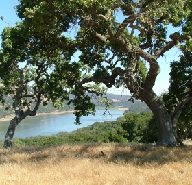 Coyote Lake County Park