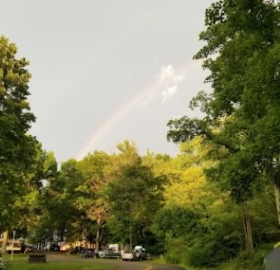 View in Park