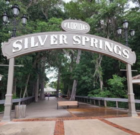 FAC Silver Springs