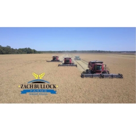 AR Razorback - Zach Bullock Farms