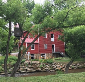IS York Mill