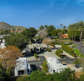 Golden Village Palms