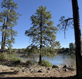 Fool Hollow Lake