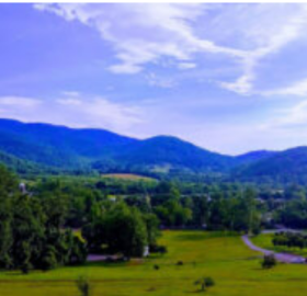 Grave's Mountain Farm and Lodge 