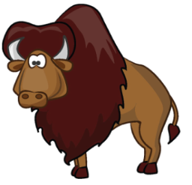 bison