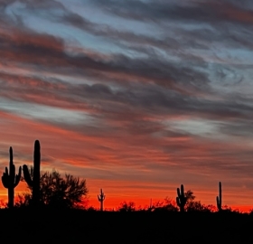 New Years At Picacho