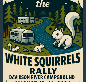 Stream'n with the White Squirrels 