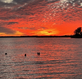 Washington River Walk 2