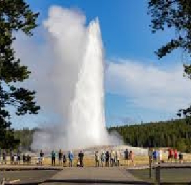 CAC Yellowstone Geyser