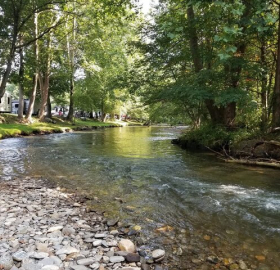 creekwood2