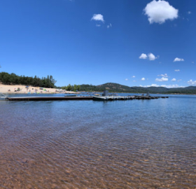 Photo of shore of collins lake